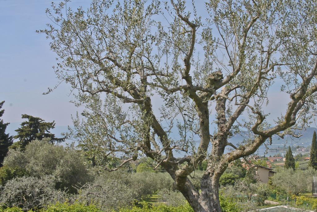 Lovely Villa Elena - Garda Lake Bardolino Extérieur photo